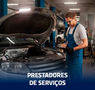 Prestadores de Serviços