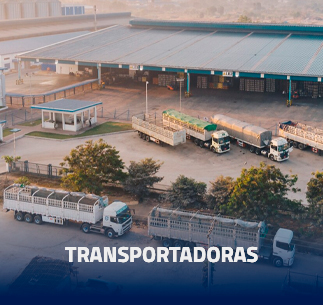 Transportadoras